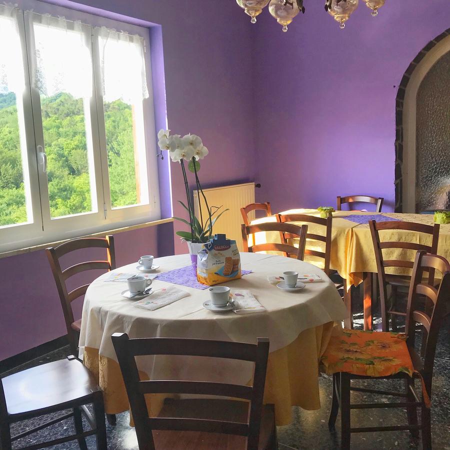 Albergo Delfino San Pietro d'Olba Bagian luar foto